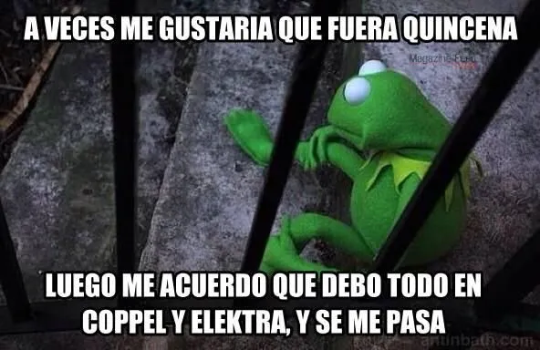 Frases graciosas con la Rana Rene on Pinterest | Frases, Meme and ... Frases graciosas con la Rana Rene on Pinterest | Frases, Meme and ...