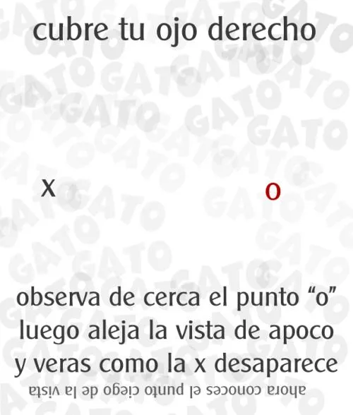 Flores con frases groseras tumblr Imagui