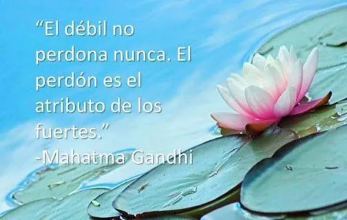 Frases hermosas #amor #quotes #frases y reflexiones #liderazgo ...