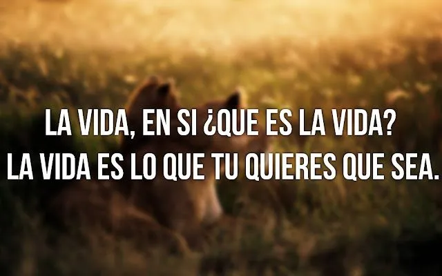 frases hermosas de la vida- frases de la vida