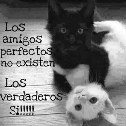 Frases con imágenes : Amistad | Quotes | Pinterest | Amigos ...