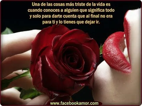 Frases con imagenes bonitas de rosas - YouTube