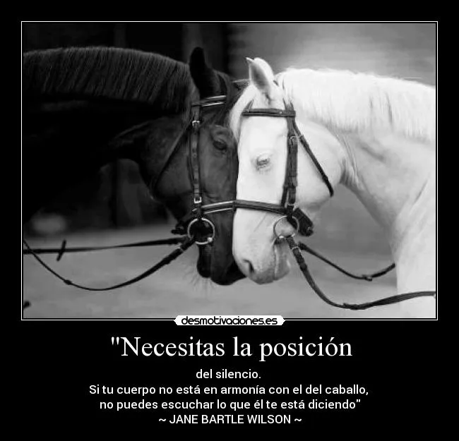 Frases e imagenes de caballos - Imagui