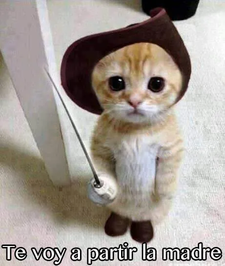 Todo En Frases: Imagenes Divertidas Y Tiernas Lindas Todo En Frases: Imagenes Divertidas Y Tiernas Lindas
