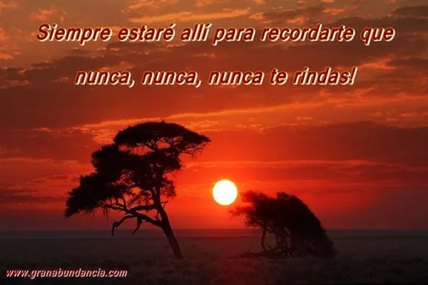 Frases en Imágenes para Facebook: Frases en Imágenes para Facebook ... Frases en Imágenes para Facebook: Frases en Imágenes para Facebook ...