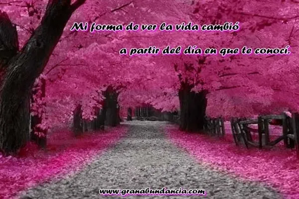 Frases en Imágenes para Facebook: Frases en Imágenes para Facebook ... Frases en Imágenes para Facebook: Frases en Imágenes para Facebook ...