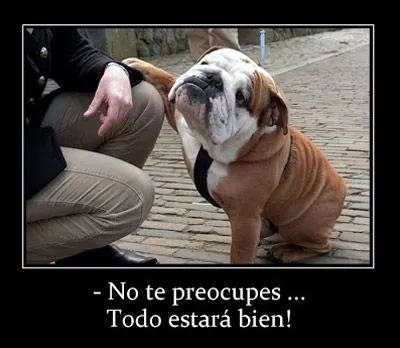 Frases e imágenes graciosas con animales para compartir y reir ...