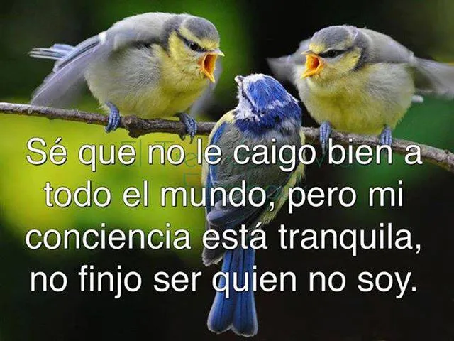 Frases con imagenes de Motivacion - Imágenes y Frases de Motivación