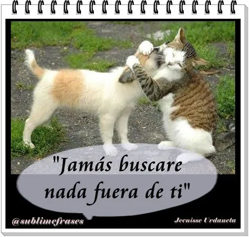 Frases en imágenes | sublimefrases