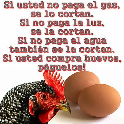 Frases irónicas - Imagui