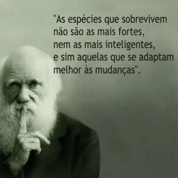 as-especies-que-sobrevivem-nao ...