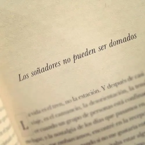 Frases libros on Pinterest | Libros, Frases and El Camino
