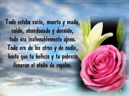 Ver frases lindas de amor | Frases de amor