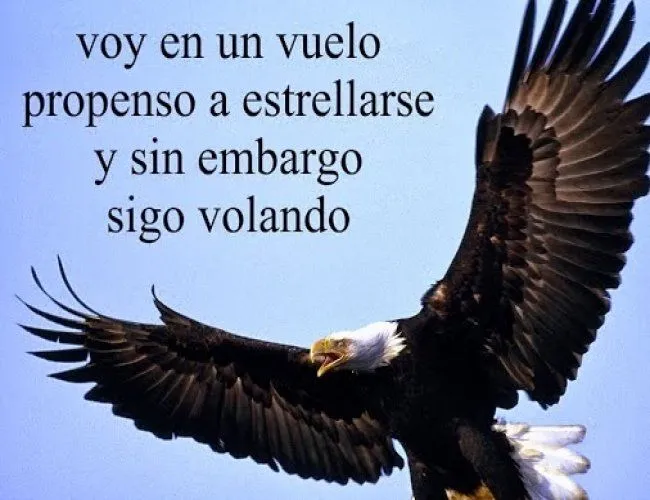 Frases lindas de motivación para compartir en Facebook | Imágenes ... Frases lindas de motivación para compartir en Facebook | Imágenes ...