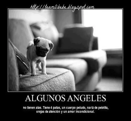 Frases Que Llegan - Image