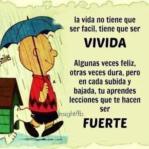 frases locas on Pinterest | 26 Pins