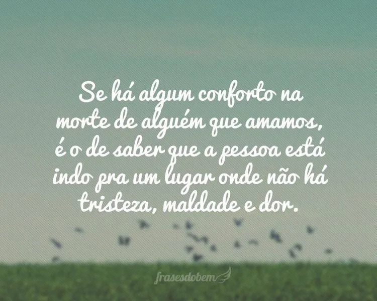 se-ha-algum-conforto.jpg