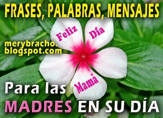 Frases para la Madre en su Día, Dedicatorias, Palabras lindas ... Frases para la Madre en su Día, Dedicatorias, Palabras lindas ...