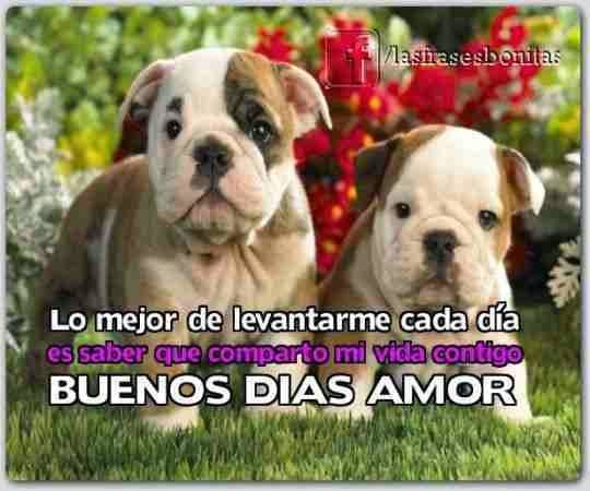 Frases y mensaje de buenos días para mi novia | Mensajes de amor Frases y mensaje de buenos días para mi novia | Mensajes de amor