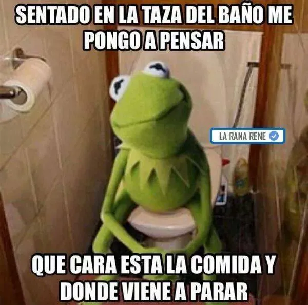 Frases con mensajes “a veces” de la Rana René en imágenes ... Frases con mensajes “a veces” de la Rana René en imágenes ...