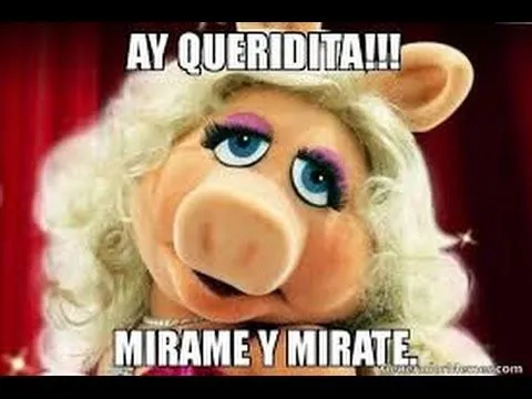 Frases de Miss Pegui - YouTube