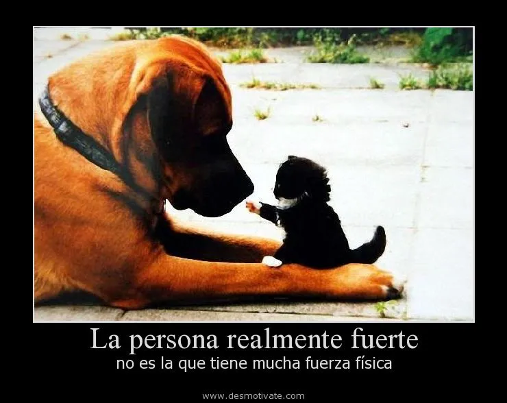 Frases motivadoras de amor en imágenes para compartir en Facebook ...