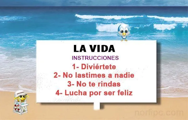 Frases para motivarse a intentarlo, luchar y pelear hasta triunfar