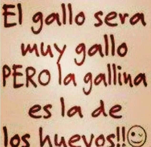 Frases De Mujeres Cabronas Car Memes