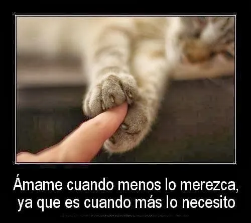 Frases De Nostalgia: Nunca Dejes De Amarme | Imágenes y Frases Bonitas Frases De Nostalgia: Nunca Dejes De Amarme | Imágenes y Frases Bonitas