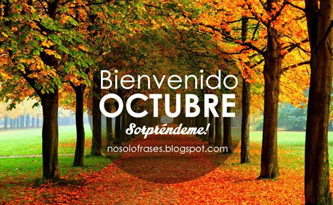 No Solo Frases: octubre 2014