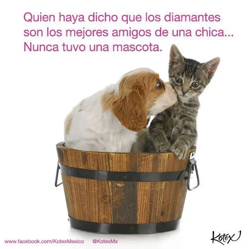 Frases y algo más. Beneficios de tener un perro. | Frases y algo ... Frases y algo más. Beneficios de tener un perro. | Frases y algo ...