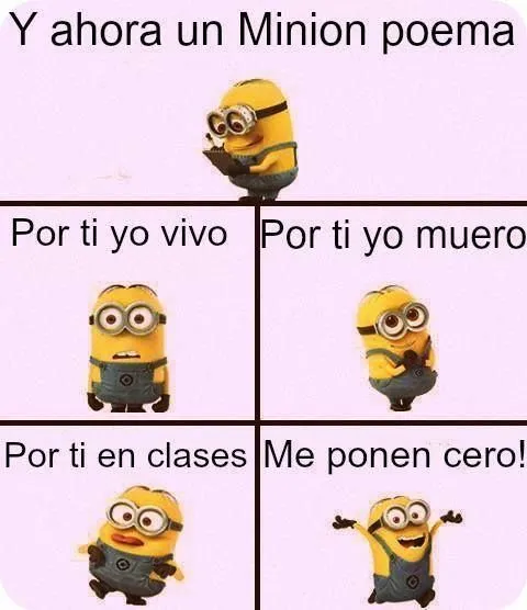 frases on Pinterest | Amor, Chistes and Te Amo frases on Pinterest | Amor, Chistes and Te Amo