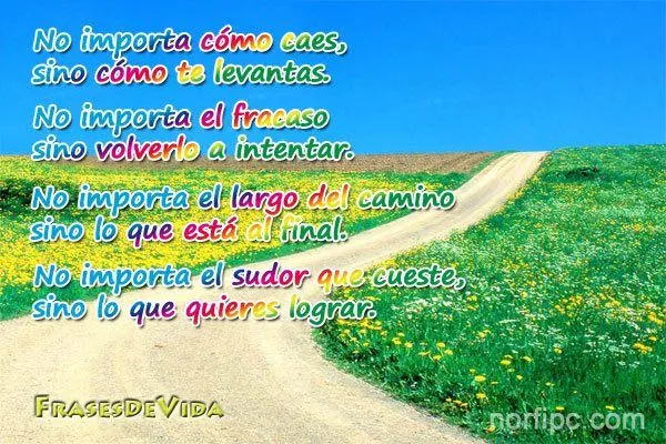 Frases de oro, sabias, para pensar sobre la vida y el amor Frases de oro, sabias, para pensar sobre la vida y el amor