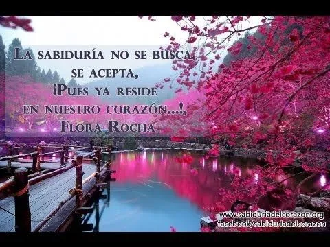 FRASES Y PAISAJES BELLÍSIMOS! Amor, armonía y felicidad... - YouTube