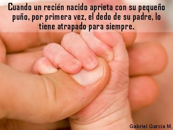 Frases Para Papá: Amor y Respeto A Los Padres | Imágenes y Frases ... Frases Para Papá: Amor y Respeto A Los Padres | Imágenes y Frases ...