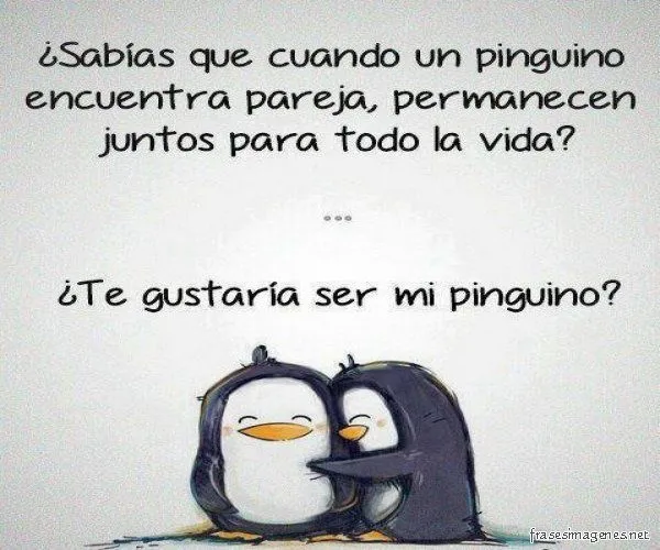 frases-para-novios-sabias-que-.jpg (600×500) | Nana | Pinterest frases-para-novios-sabias-que-.jpg (600×500) | Nana | Pinterest