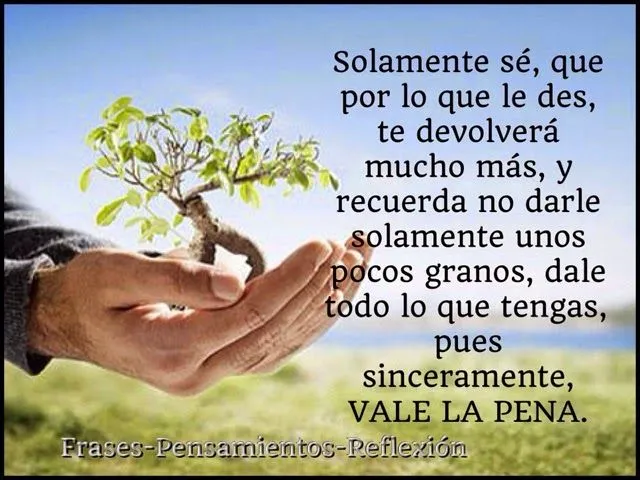 Frases-Pensamientos-Reflexión: Saber dar,Solamente sé, que por lo ...
