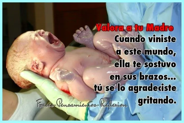 Frases-Pensamientos-Reflexión: VALORA A TU MADRE ..