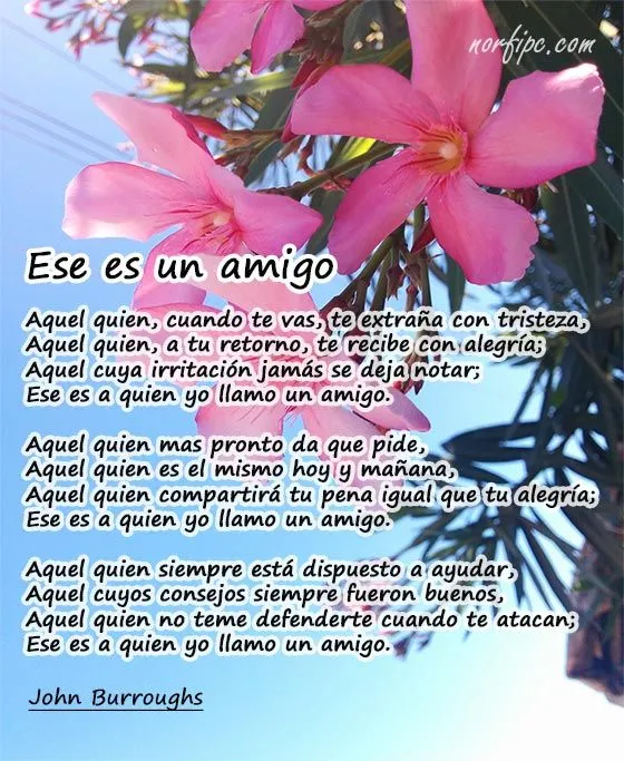 Frases y poemas sobre el valor de los amigos y la amistad