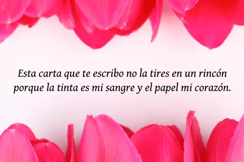 Frases, Poemas y Cartas de Amor 2015 - 2016 ~ Amor Juvenil Frases, Poemas y Cartas de Amor 2015 - 2016 ~ Amor Juvenil
