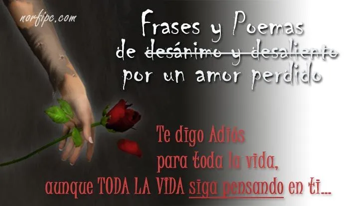 Frases y poemas de desánimo y desaliento por un amor perdido Frases y poemas de desánimo y desaliento por un amor perdido