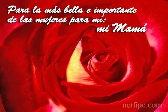 Frases y poemas para mama y todas las madres de Facebook en su día