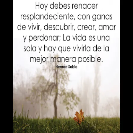 Frases Positivas Para Compartir - Imagenes Bonitas | Frases Bonitas