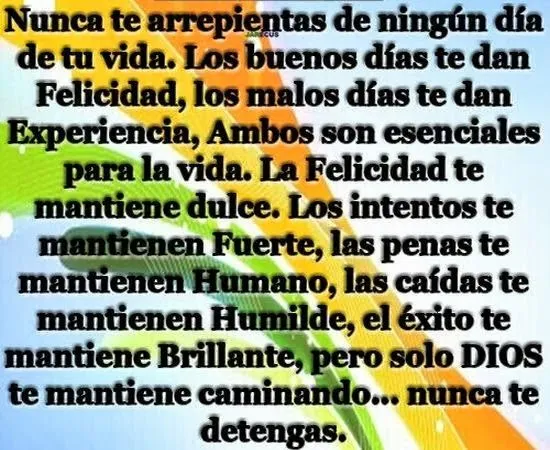 frases positivas de la vida para meditar | Frases de felicidad frases positivas de la vida para meditar | Frases de felicidad