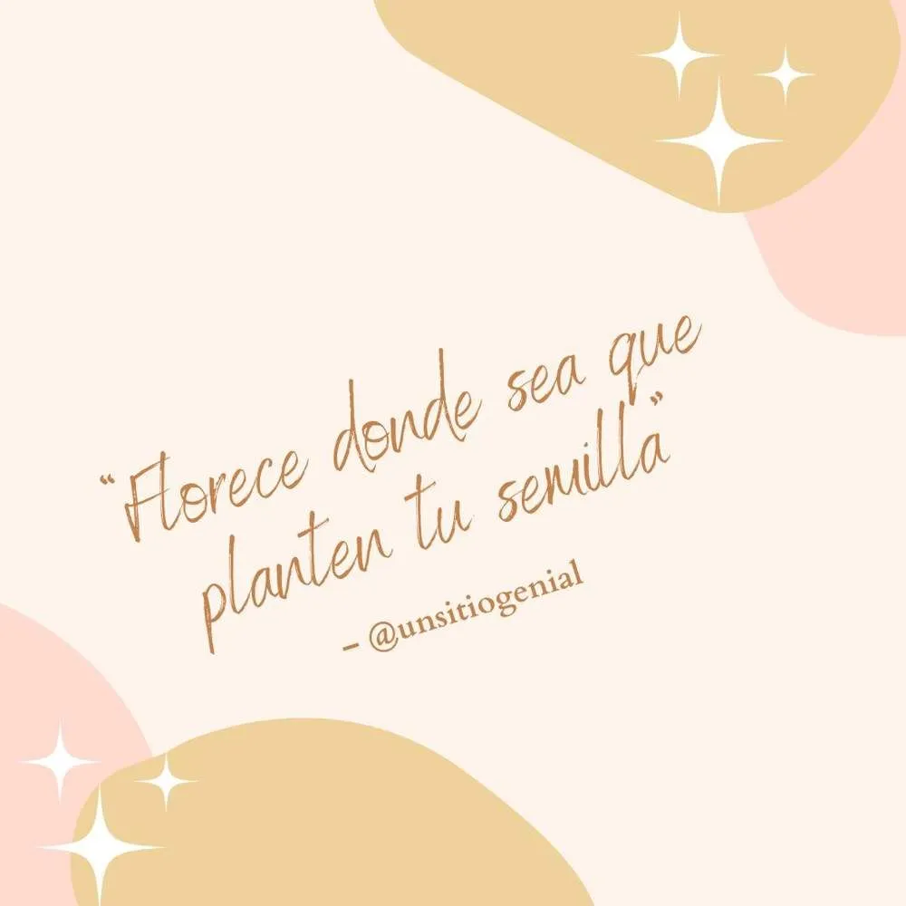 Frases para tus publicaciones de Instagram y Facebook: inspiradoras, en  inglés, cortas, de amor y sacadas de canciones