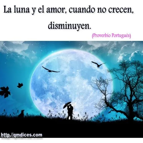 FRASES QMDICES-La luna y el amor -