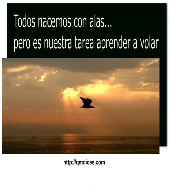 FRASES QMDICES-Todos nacemos con alas... -