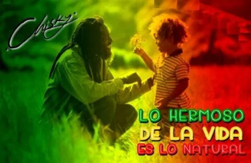 Frases de rasta love - Imagui