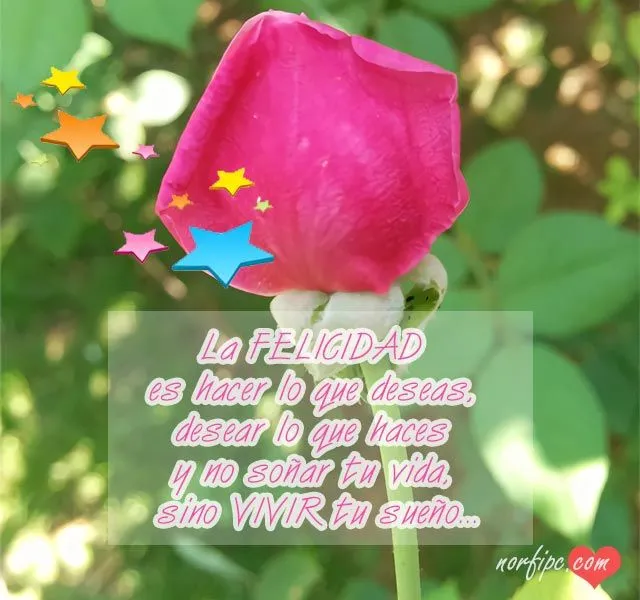 Frases reales sobre los amores, amistades y relaciones sentimentales Frases reales sobre los amores, amistades y relaciones sentimentales
