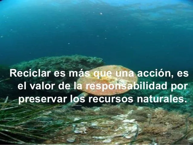 Frases de reciclaje